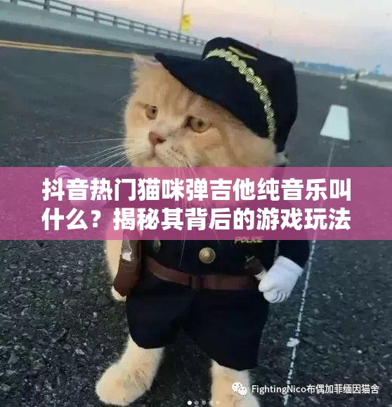 抖音热门猫咪弹吉他纯音乐叫什么？揭秘其背后的游戏玩法创新革命