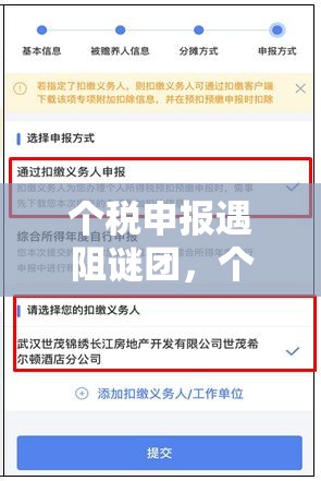 个税申报遇阻谜团，个人所得税APP未连接互联网真相何在？