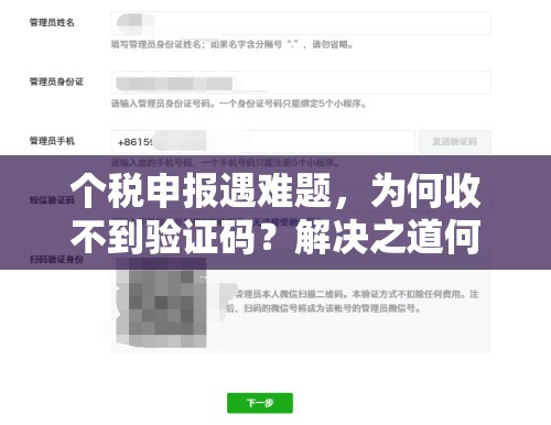 个税申报遇难题，为何收不到验证码？解决之道何在？