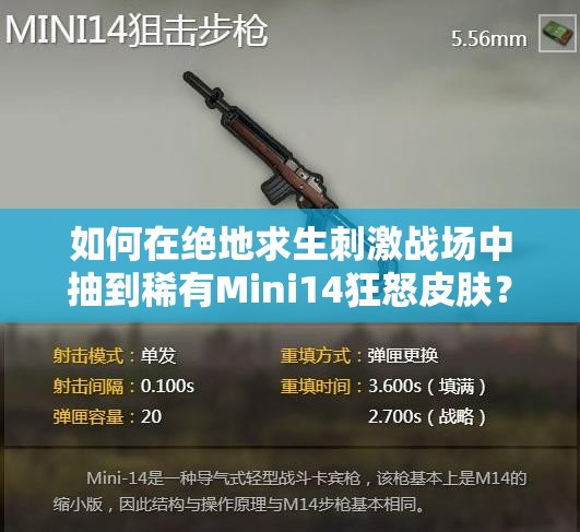 如何在绝地求生刺激战场中抽到稀有Mini14狂怒皮肤？