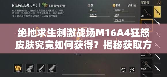 绝地求生刺激战场M16A4狂怒皮肤究竟如何获得？揭秘获取方法！