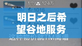 明日之后希望谷地服务器版本如何选？下载地址与资源管理策略有何悬念？