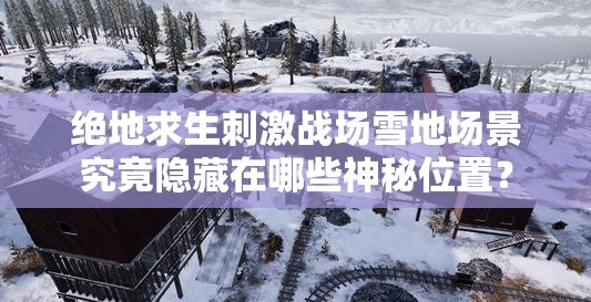 绝地求生刺激战场雪地场景究竟隐藏在哪些神秘位置？