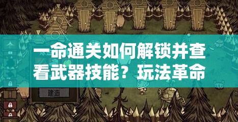 一命通关如何解锁并查看武器技能？玩法革命的未来有何新展望？